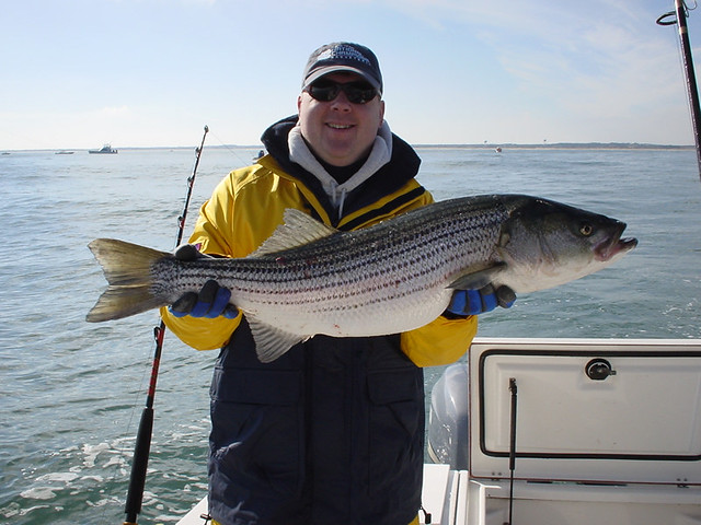 Un cadeau idéal et inoubliable: une sortie de pêche en mer